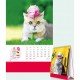 H99-46 lovely Cat Calendar 13 Sheets (Desk calendar)