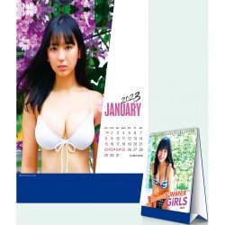 H99-52 性感座檯月曆 Bikini少女月曆  (夏日柔情)