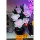 New Year's fiber optic lights white New Year's fiber optic lights white