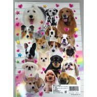 Dog friends, Lovely dogs Coloring book 