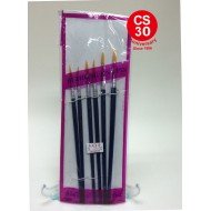 Drawing Brushes Set (6pcs ) 