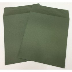 Big Green Envelope 10 per pack) 8" x 9"