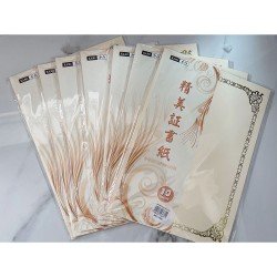 KAMI A4 160g hot stamping certificate paper with gold-edge