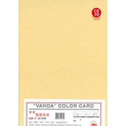 Vanda Color Card (Apricot)