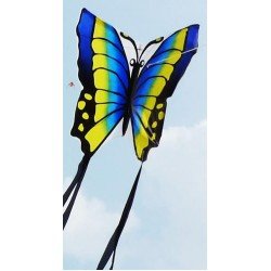 藍色蝴蝶風箏 butterfly kite