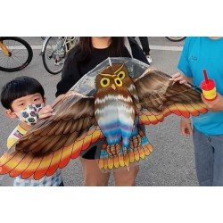 Grey Bird Kite