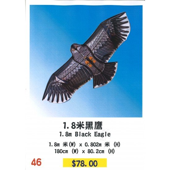 1.8米黑鷹風箏 black eagle kite