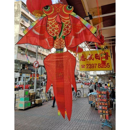 大金魚風箏 Goldfish Kite 大金魚風箏 Goldfish Kite