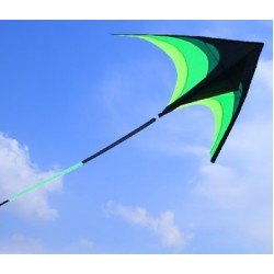 BBQ flying kite 