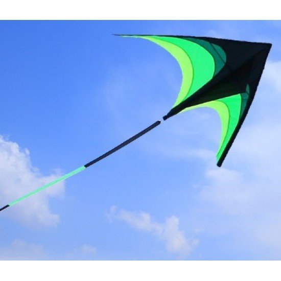 BBQ flying kite 