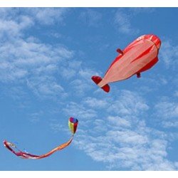 大鯨魚風箏 (紅色) 3D whale kite