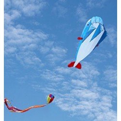 海豚風箏 3D dolphin kite  (1.2m x 2.15m)