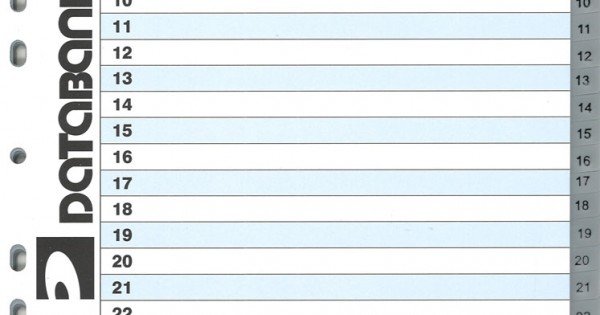 DATABANK ID-31 paper INDEX