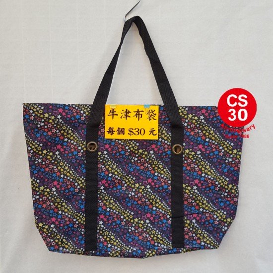 Buckled Bag (Oxford Bag)-2